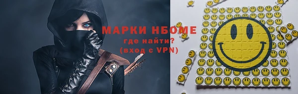 стаф Щучье