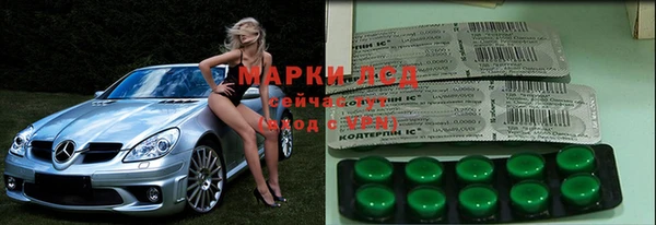 СК Щигры