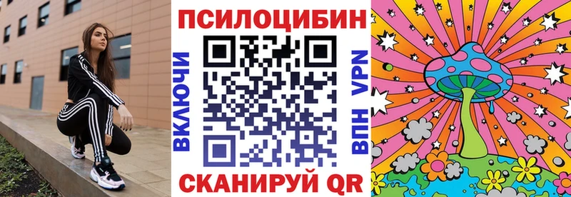 цены наркотик  Жирновск  Галлюциногенные грибы мицелий 